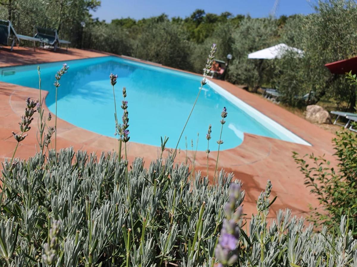 Agriturismo "Crocino In Chianti" 카이오레인챠안티 외부 사진