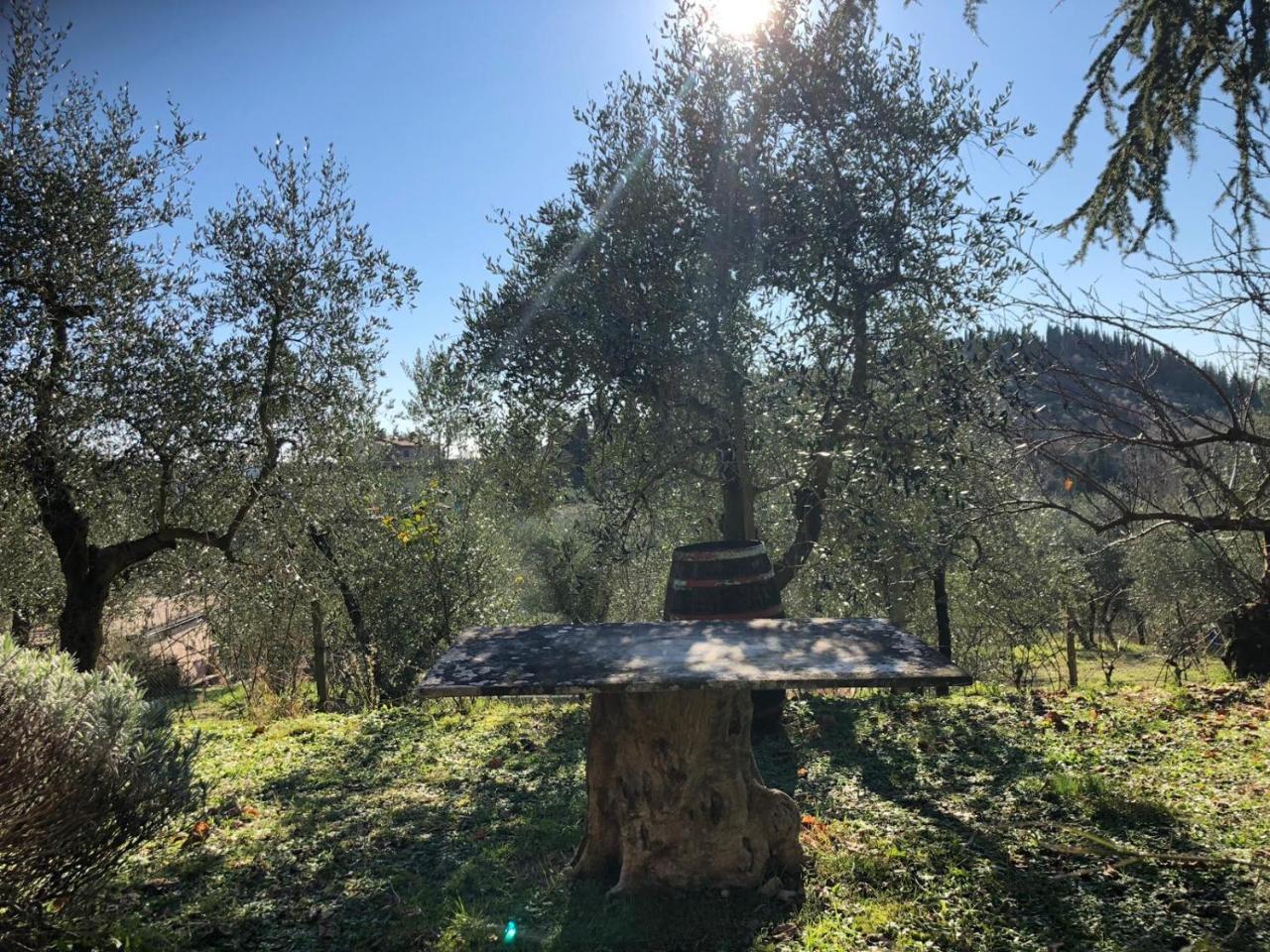 Agriturismo "Crocino In Chianti" 카이오레인챠안티 외부 사진
