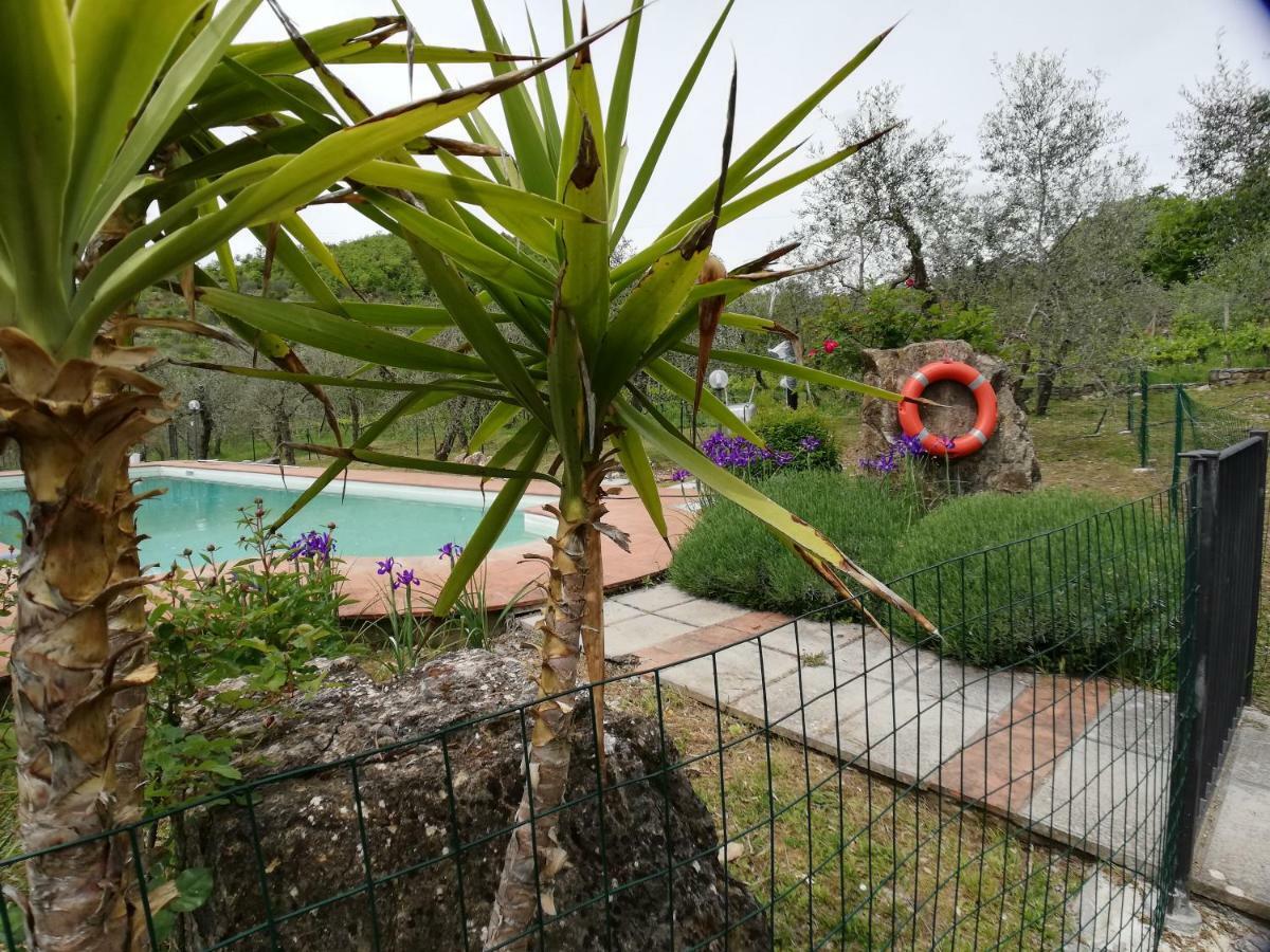 Agriturismo "Crocino In Chianti" 카이오레인챠안티 외부 사진