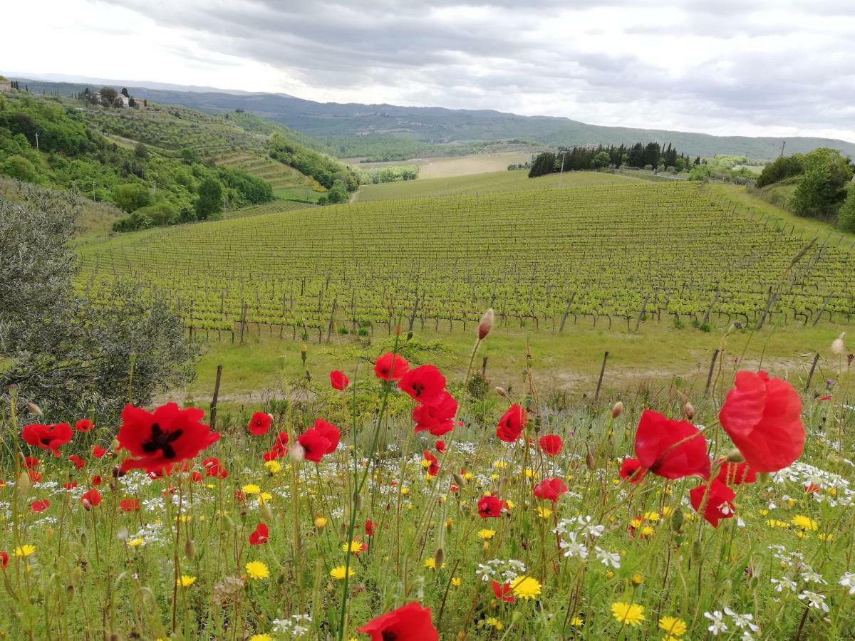 Agriturismo "Crocino In Chianti" 카이오레인챠안티 외부 사진