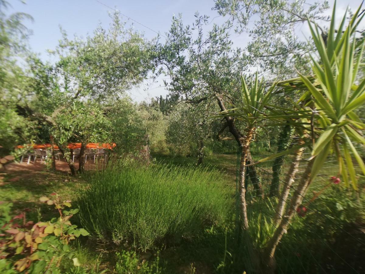 Agriturismo "Crocino In Chianti" 카이오레인챠안티 외부 사진